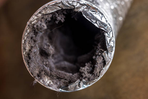 Best Ductwork Cleaning Services  in White Island Shores, MA